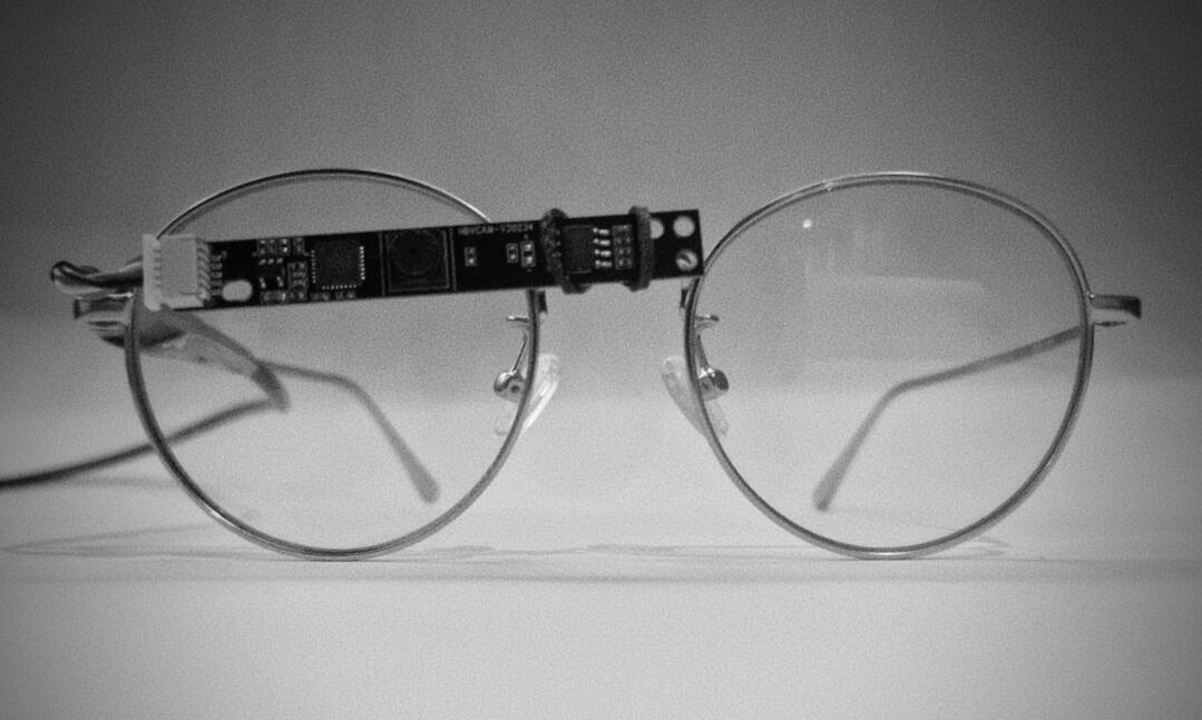 Sentry glasses